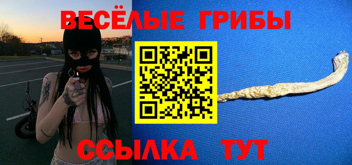 купить наркотики цена  Вход с VPN  Шебекино  Псилоцибиновые грибы ЛСД 